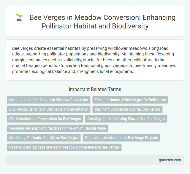 Bee Verges in Meadow Conversion: Enhancing Pollinator Habitat and Biodiversity