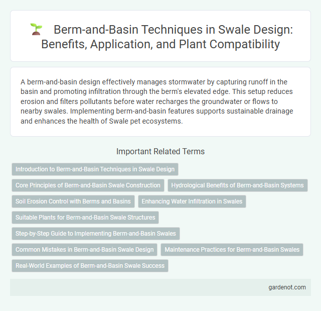 Berm-and-Basin Techniques in Swale Design: Benefits, Application, and Plant Compatibility