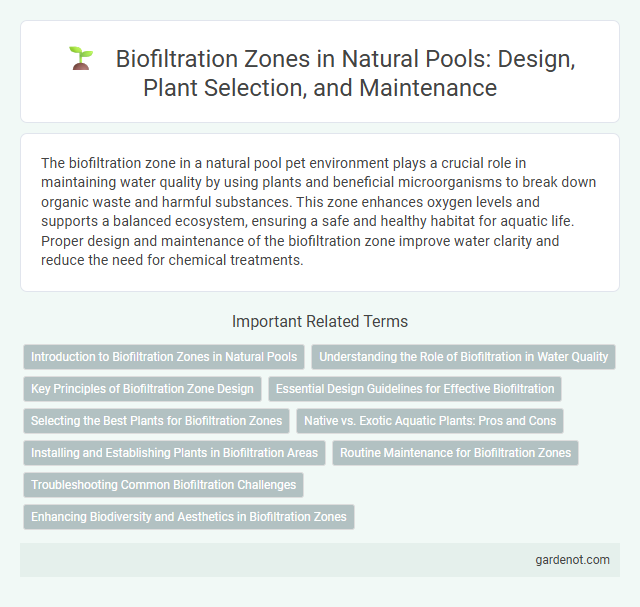 Biofiltration Zones in Natural Pools: Design, Plant Selection, and Maintenance