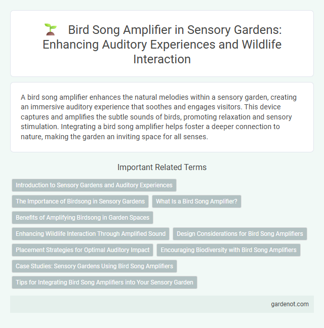 Bird Song Amplifier in Sensory Gardens: Enhancing Auditory Experiences and Wildlife Interaction