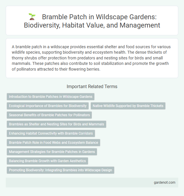 Bramble Patch in Wildscape Gardens: Biodiversity, Habitat Value, and Management