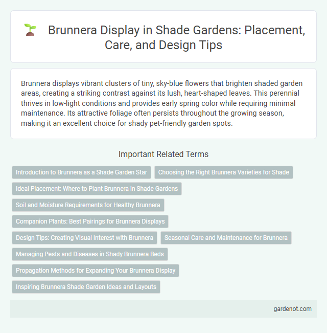 Brunnera Display in Shade Gardens: Placement, Care, and Design Tips