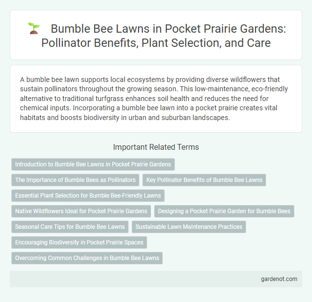 Bumble Bee Lawns in Pocket Prairie Gardens: Pollinator Benefits, Plant Selection, and Care