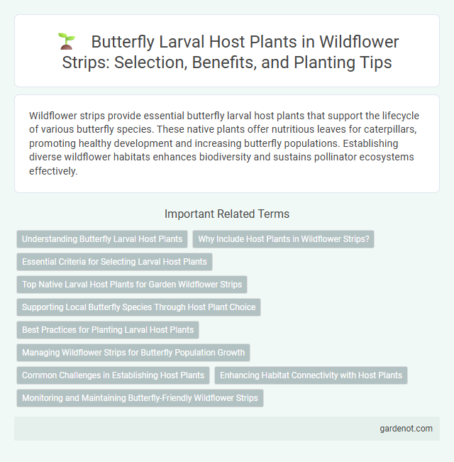Butterfly Larval Host Plants in Wildflower Strips: Selection, Benefits, and Planting Tips