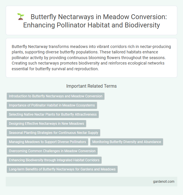 Butterfly Nectarways in Meadow Conversion: Enhancing Pollinator Habitat and Biodiversity