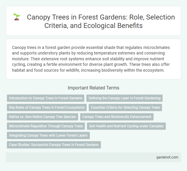 Canopy Trees in Forest Gardens: Role, Selection Criteria, and Ecological Benefits
