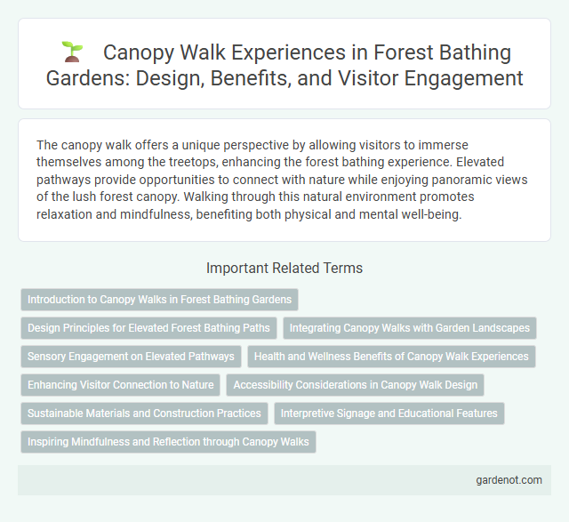 Canopy Walk Experiences in Forest Bathing Gardens: Design, Benefits, and Visitor Engagement