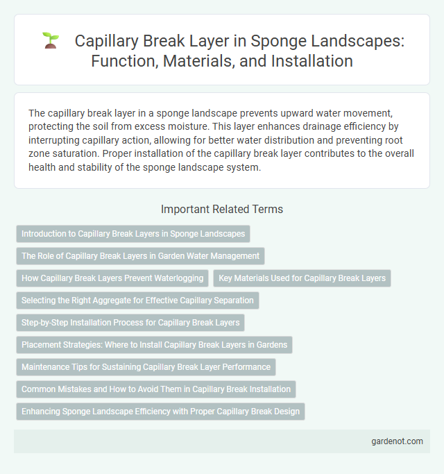 Capillary Break Layer in Sponge Landscapes: Function, Materials, and Installation