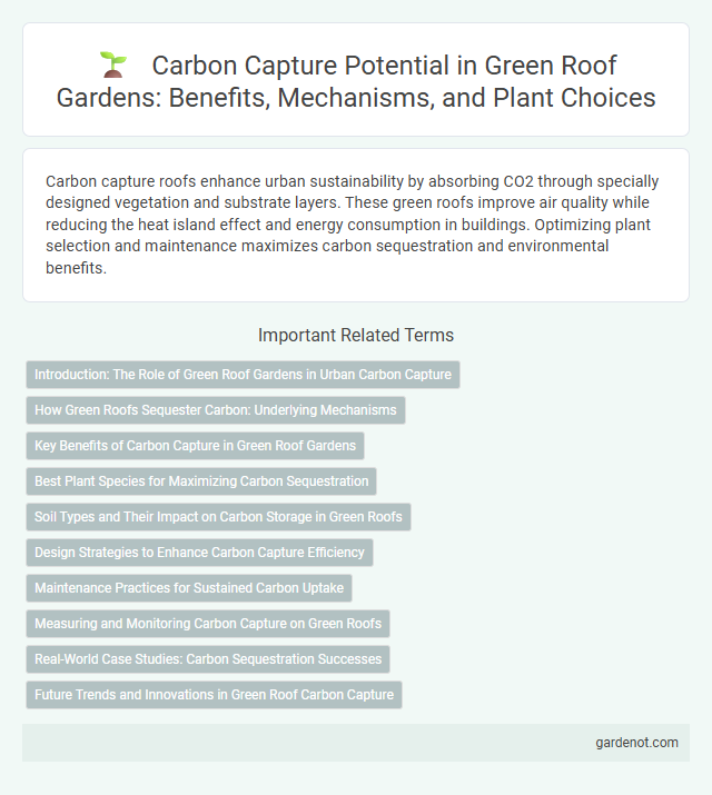 Carbon Capture Potential in Green Roof Gardens: Benefits, Mechanisms, and Plant Choices