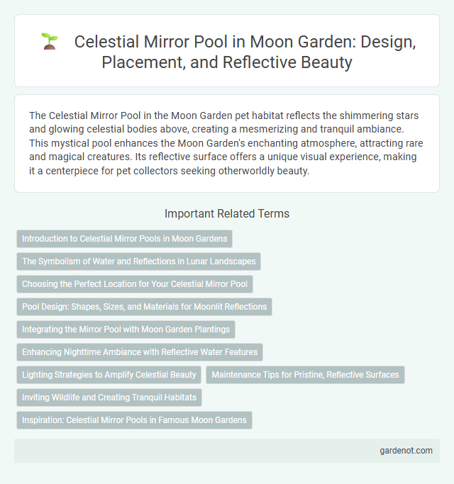 Celestial Mirror Pool in Moon Garden: Design, Placement, and Reflective Beauty