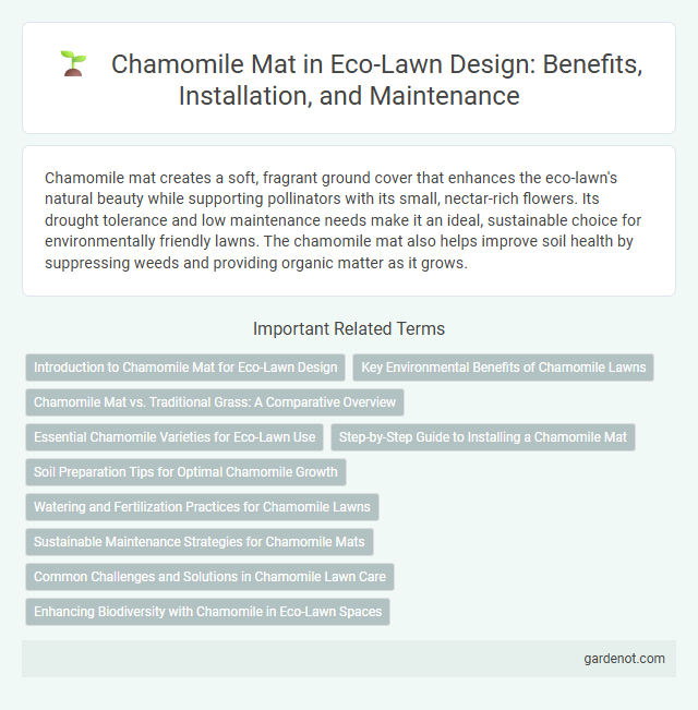 Chamomile Mat in Eco-Lawn Design: Benefits, Installation, and Maintenance