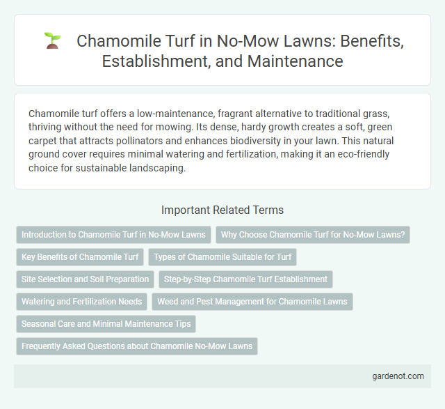 Chamomile Turf in No-Mow Lawns: Benefits, Establishment, and Maintenance