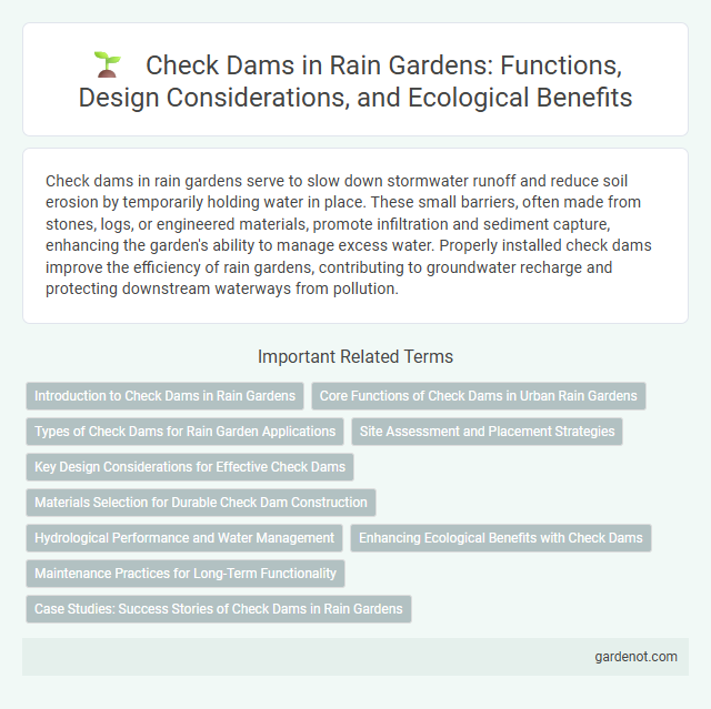 Check Dams in Rain Gardens: Functions, Design Considerations, and Ecological Benefits
