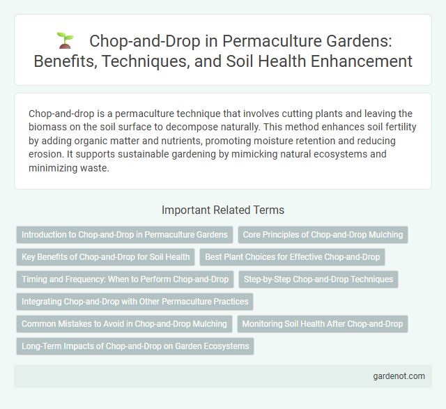 Chop-and-Drop in Permaculture Gardens: Benefits, Techniques, and Soil Health Enhancement