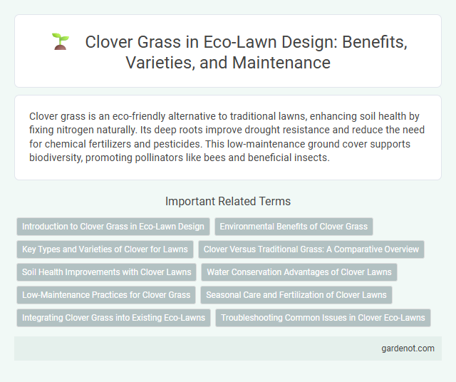 Clover Grass in Eco-Lawn Design: Benefits, Varieties, and Maintenance