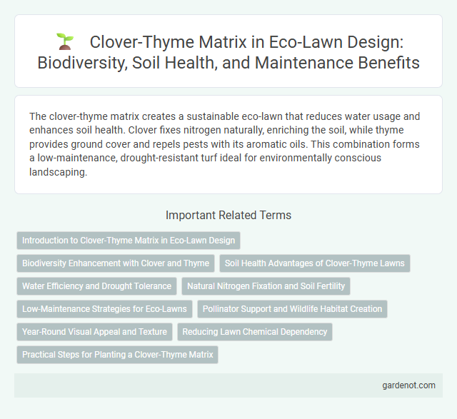 Clover-Thyme Matrix in Eco-Lawn Design: Biodiversity, Soil Health, and Maintenance Benefits