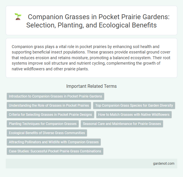 Companion Grasses in Pocket Prairie Gardens: Selection, Planting, and Ecological Benefits
