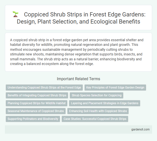 Coppiced Shrub Strips in Forest Edge Gardens: Design, Plant Selection, and Ecological Benefits