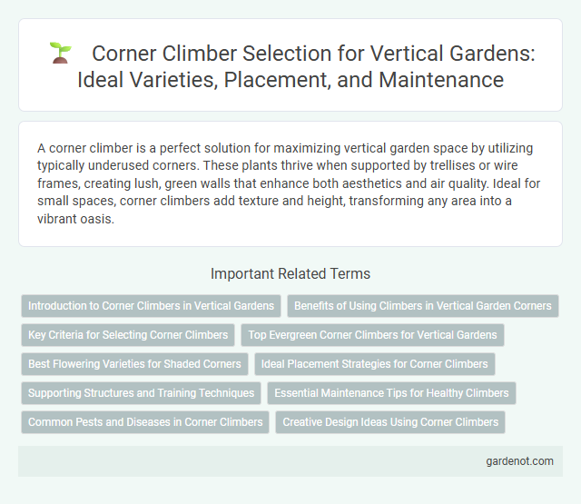 Corner Climber Selection for Vertical Gardens: Ideal Varieties, Placement, and Maintenance