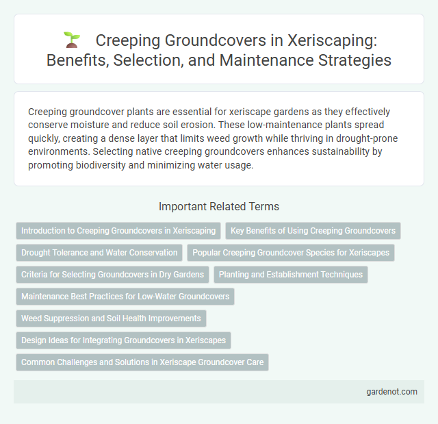 Creeping Groundcovers in Xeriscaping: Benefits, Selection, and Maintenance Strategies