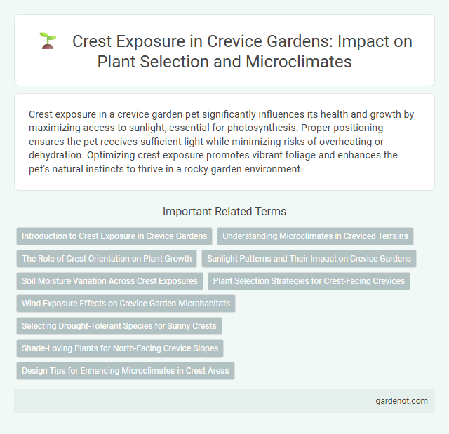 Crest Exposure in Crevice Gardens: Impact on Plant Selection and Microclimates