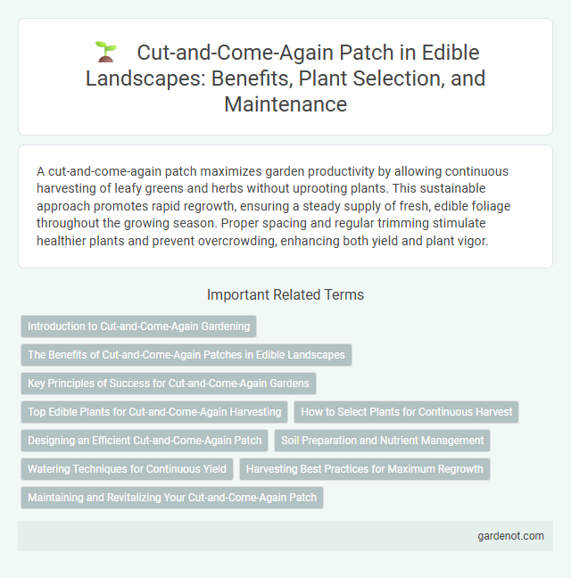 Cut-and-Come-Again Patch in Edible Landscapes: Benefits, Plant Selection, and Maintenance