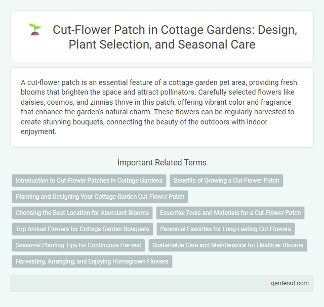 Cut-Flower Patch in Cottage Gardens: Design, Plant Selection, and Seasonal Care