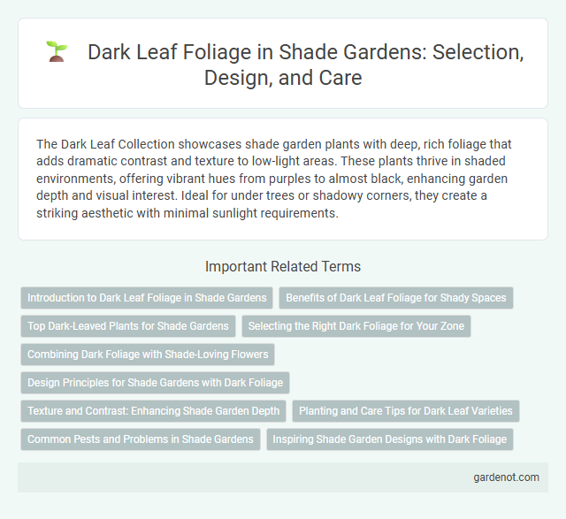 Dark Leaf Foliage in Shade Gardens: Selection, Design, and Care