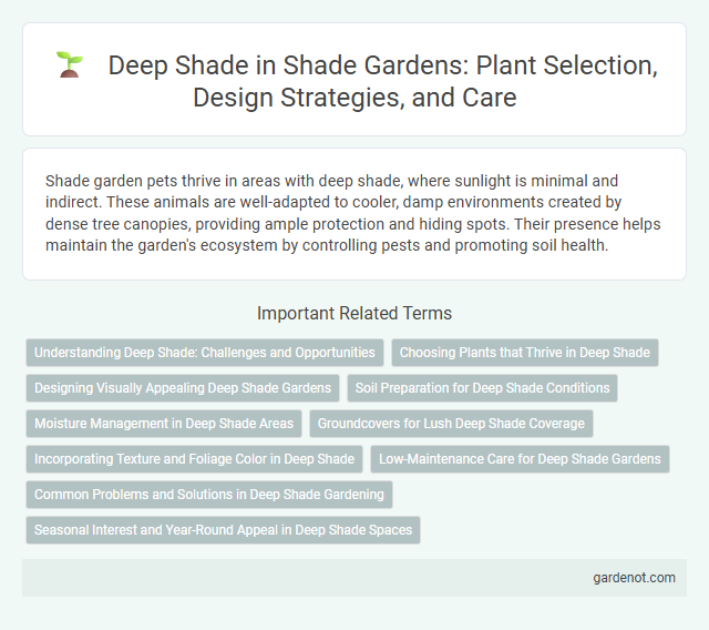 Deep Shade in Shade Gardens: Plant Selection, Design Strategies, and Care