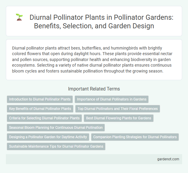 Diurnal Pollinator Plants in Pollinator Gardens: Benefits, Selection, and Garden Design