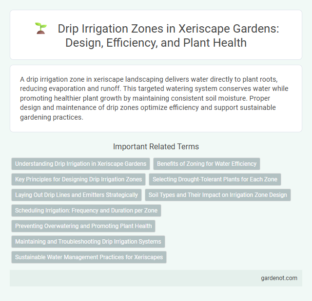 Drip Irrigation Zones in Xeriscape Gardens: Design, Efficiency, and Plant Health