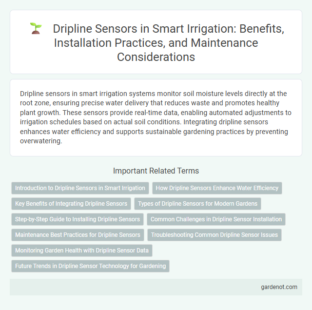 Dripline Sensors in Smart Irrigation: Benefits, Installation Practices, and Maintenance Considerations