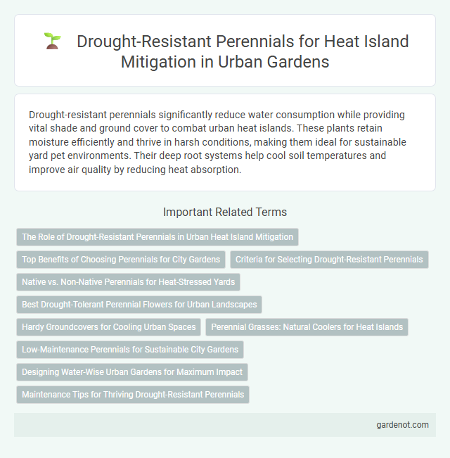 Drought-Resistant Perennials for Heat Island Mitigation in Urban Gardens