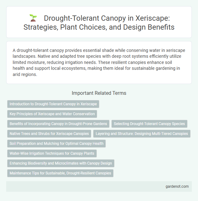 Drought-Tolerant Canopy in Xeriscape: Strategies, Plant Choices, and Design Benefits