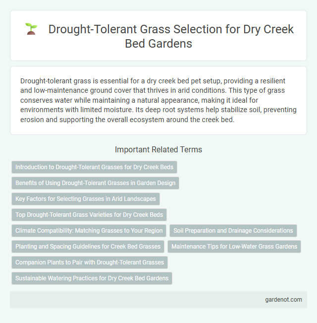Drought-Tolerant Grass Selection for Dry Creek Bed Gardens