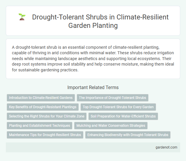 Drought-Tolerant Shrubs in Climate-Resilient Garden Planting