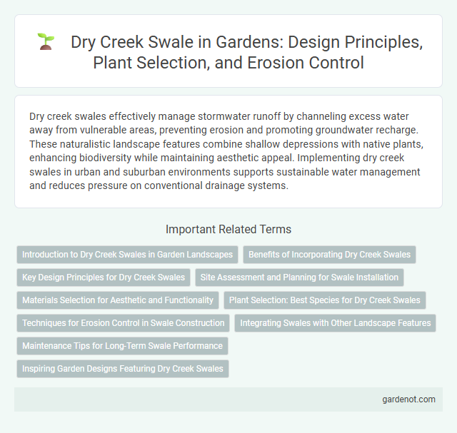 Dry Creek Swale in Gardens: Design Principles, Plant Selection, and Erosion Control