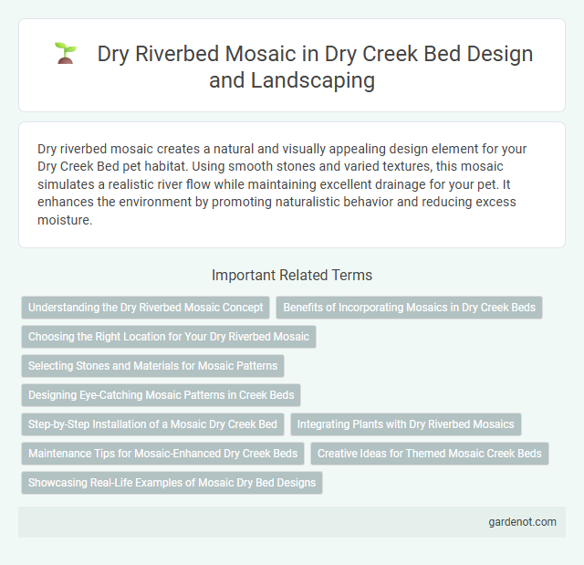 Dry Riverbed Mosaic in Dry Creek Bed Design and Landscaping