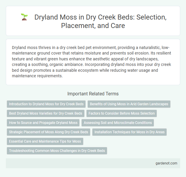 Dryland Moss in Dry Creek Beds: Selection, Placement, and Care