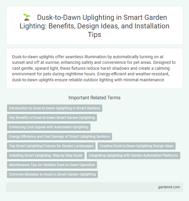 Dusk-to-Dawn Uplighting in Smart Garden Lighting: Benefits, Design Ideas, and Installation Tips