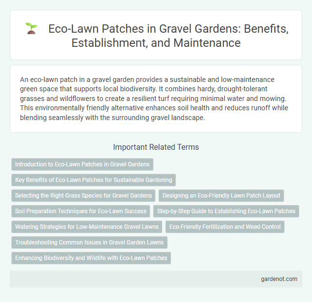 Eco-Lawn Patches in Gravel Gardens: Benefits, Establishment, and Maintenance