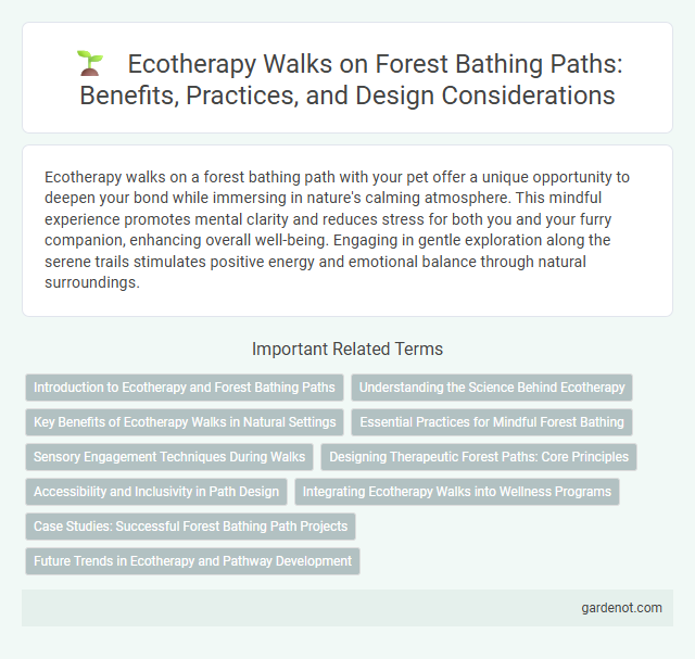 Ecotherapy Walks on Forest Bathing Paths: Benefits, Practices, and Design Considerations