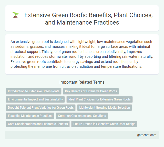 Extensive Green Roofs: Benefits, Plant Choices, and Maintenance Practices