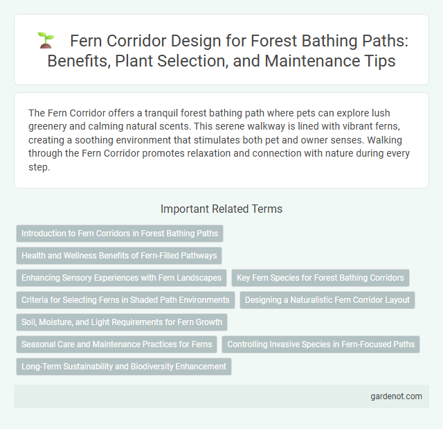 Fern Corridor Design for Forest Bathing Paths: Benefits, Plant Selection, and Maintenance Tips
