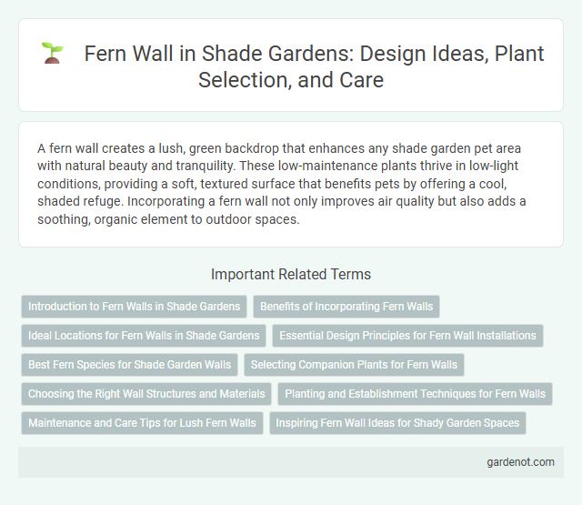 Fern Wall in Shade Gardens: Design Ideas, Plant Selection, and Care