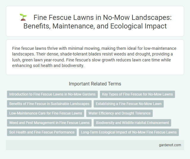 Fine Fescue Lawns in No-Mow Landscapes: Benefits, Maintenance, and Ecological Impact