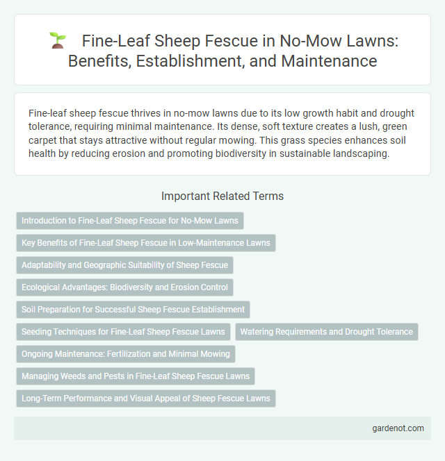 Fine-Leaf Sheep Fescue in No-Mow Lawns: Benefits, Establishment, and Maintenance
