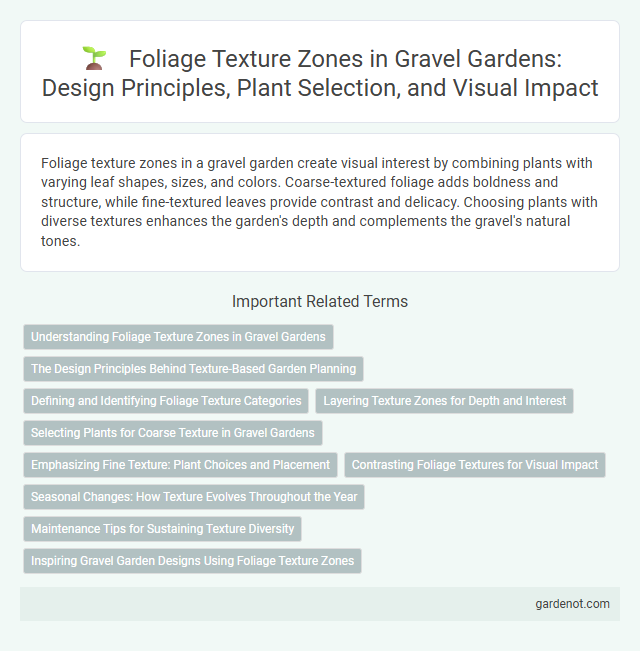 Foliage Texture Zones in Gravel Gardens: Design Principles, Plant Selection, and Visual Impact