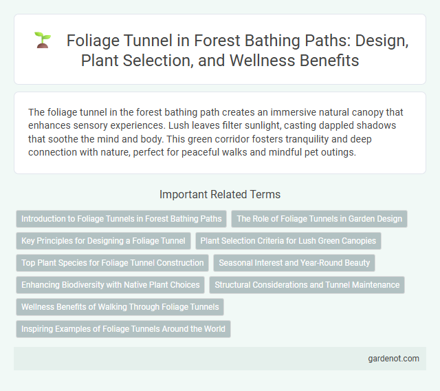 Foliage Tunnel in Forest Bathing Paths: Design, Plant Selection, and Wellness Benefits