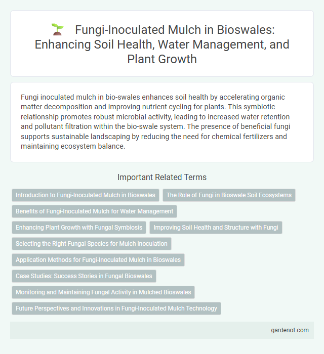 Fungi-Inoculated Mulch in Bioswales: Enhancing Soil Health, Water Management, and Plant Growth